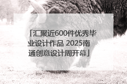 汇聚近600件优秀毕业设计作品 2025南通创意设计周开幕