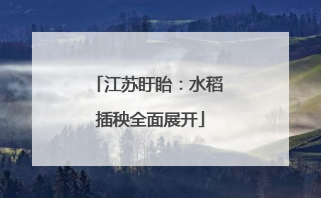 江苏盱眙：水稻插秧全面展开