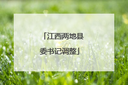 江西两地县委书记调整