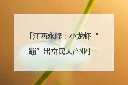 江西永修：小龙虾“蹦”出富民大产业