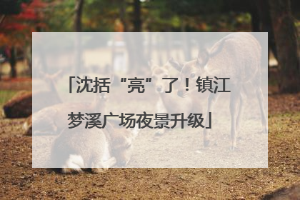 沈括“亮”了！镇江梦溪广场夜景升级