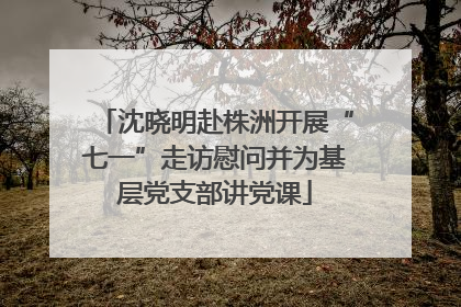 沈晓明赴株洲开展“七一”走访慰问并为基层党支部讲党课