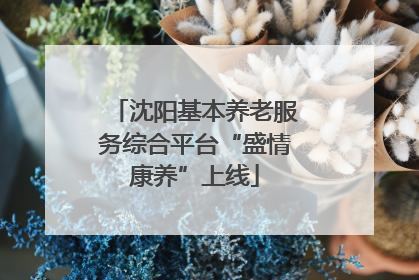 沈阳基本养老服务综合平台“盛情康养”上线