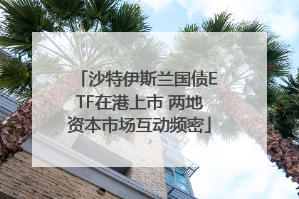 沙特伊斯兰国债ETF在港上市 两地资本市场互动频密