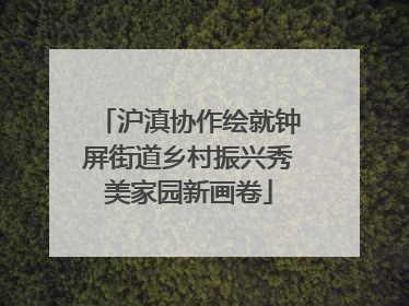 沪滇协作绘就钟屏街道乡村振兴秀美家园新画卷