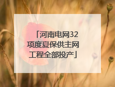 河南电网32项度夏保供主网工程全部投产