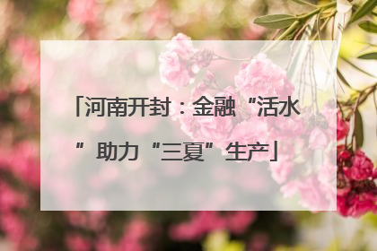 河南开封：金融“活水”助力“三夏”生产