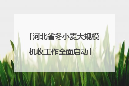 河北省冬小麦大规模机收工作全面启动