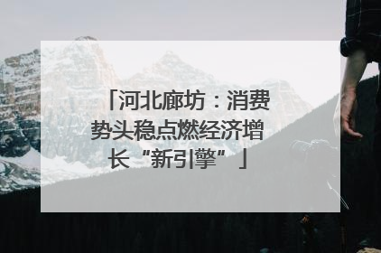 河北廊坊：消费势头稳点燃经济增长“新引擎”