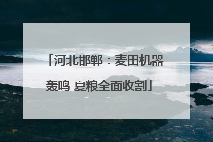 河北邯郸：麦田机器轰鸣 夏粮全面收割