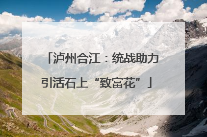 泸州合江：统战助力引活石上“致富花”