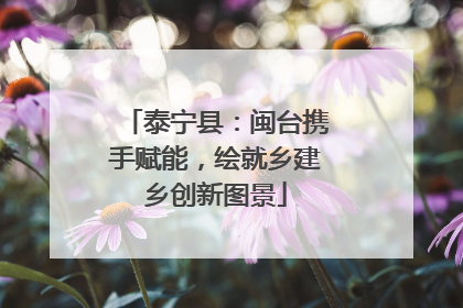 泰宁县：闽台携手赋能，绘就乡建乡创新图景