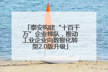 泰安构建“十百千万”企业梯队，推动工业企业向数智化转型2.0版升级