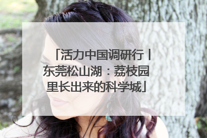 活力中国调研行丨东莞松山湖：荔枝园里长出来的科学城