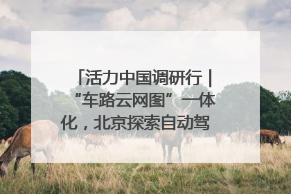 活力中国调研行｜“车路云网图”一体化，北京探索自动驾驶“加速度”
