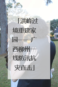 洪峰过境重建家园——广西柳州一线防汛抗灾直击