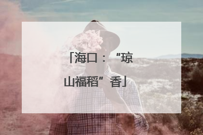 海口：“琼山福稻”香