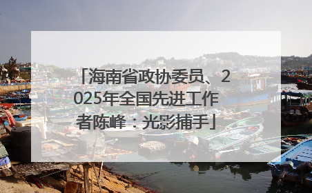 海南省政协委员、2025年全国先进工作者陈峰：光影捕手