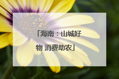 海南：山城好物 消费助农