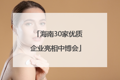 海南30家优质企业亮相中博会