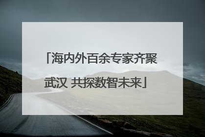 海内外百余专家齐聚武汉 共探数智未来