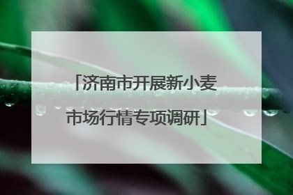 济南市开展新小麦市场行情专项调研