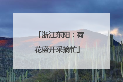 浙江东阳：荷花盛开采摘忙