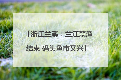 浙江兰溪：兰江禁渔结束 码头鱼市又兴