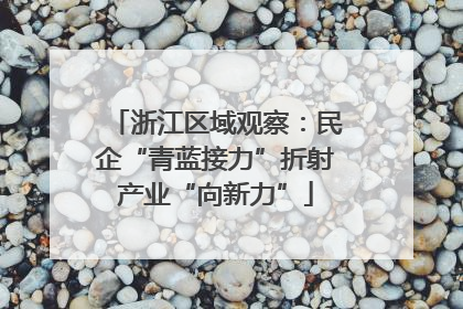 浙江区域观察：民企“青蓝接力”折射产业“向新力”
