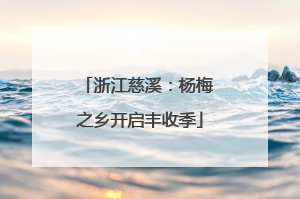 浙江慈溪：杨梅之乡开启丰收季