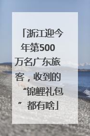浙江迎今年第500万名广东旅客，收到的“锦鲤礼包”都有啥