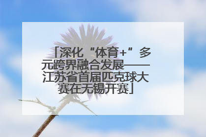 深化“体育+”多元跨界融合发展——江苏省首届匹克球大赛在无锡开赛