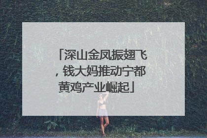 深山金凤振翅飞，钱大妈推动宁都黄鸡产业崛起