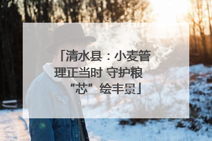清水县：小麦管理正当时 守护粮“芯”绘丰景