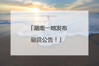湖南一地发布悬赏公告！