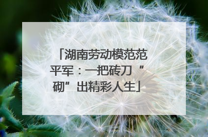 湖南劳动模范范平军：一把砖刀“砌”出精彩人生