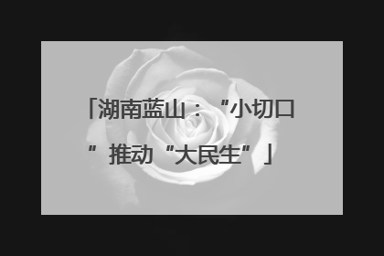 湖南蓝山：“小切口”推动“大民生”