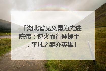 湖北省见义勇为先进陈伟：逆火而行伸援手，平凡之躯亦英雄