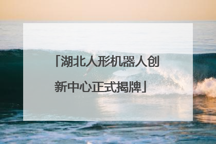 湖北人形机器人创新中心正式揭牌