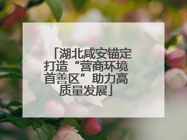 湖北咸安锚定打造“营商环境首善区”助力高质量发展