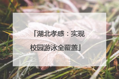 湖北孝感：实现校园游泳全覆盖