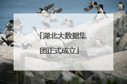 湖北大数据集团正式成立
