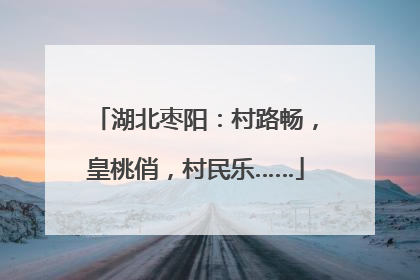 湖北枣阳：村路畅，皇桃俏，村民乐……