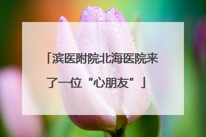 滨医附院北海医院来了一位“心朋友”