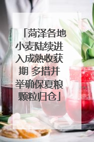 菏泽各地小麦陆续进入成熟收获期 多措并举确保夏粮颗粒归仓