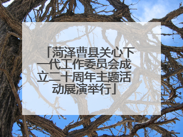菏泽曹县关心下一代工作委员会成立二十周年主题活动展演举行