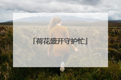 荷花盛开守护忙