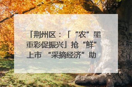 荆州区：「“农”墨重彩促振兴」抢“鲜”上市 “采摘经济”助农“甜蜜增收”