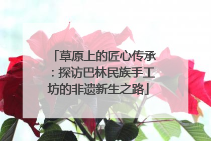 草原上的匠心传承：探访巴林民族手工坊的非遗新生之路