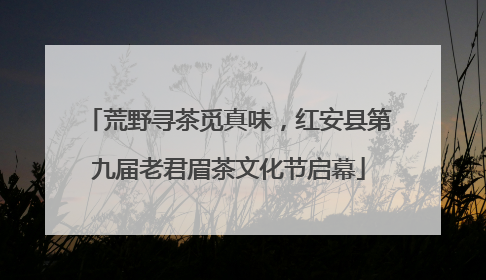 荒野寻茶觅真味，红安县第九届老君眉茶文化节启幕